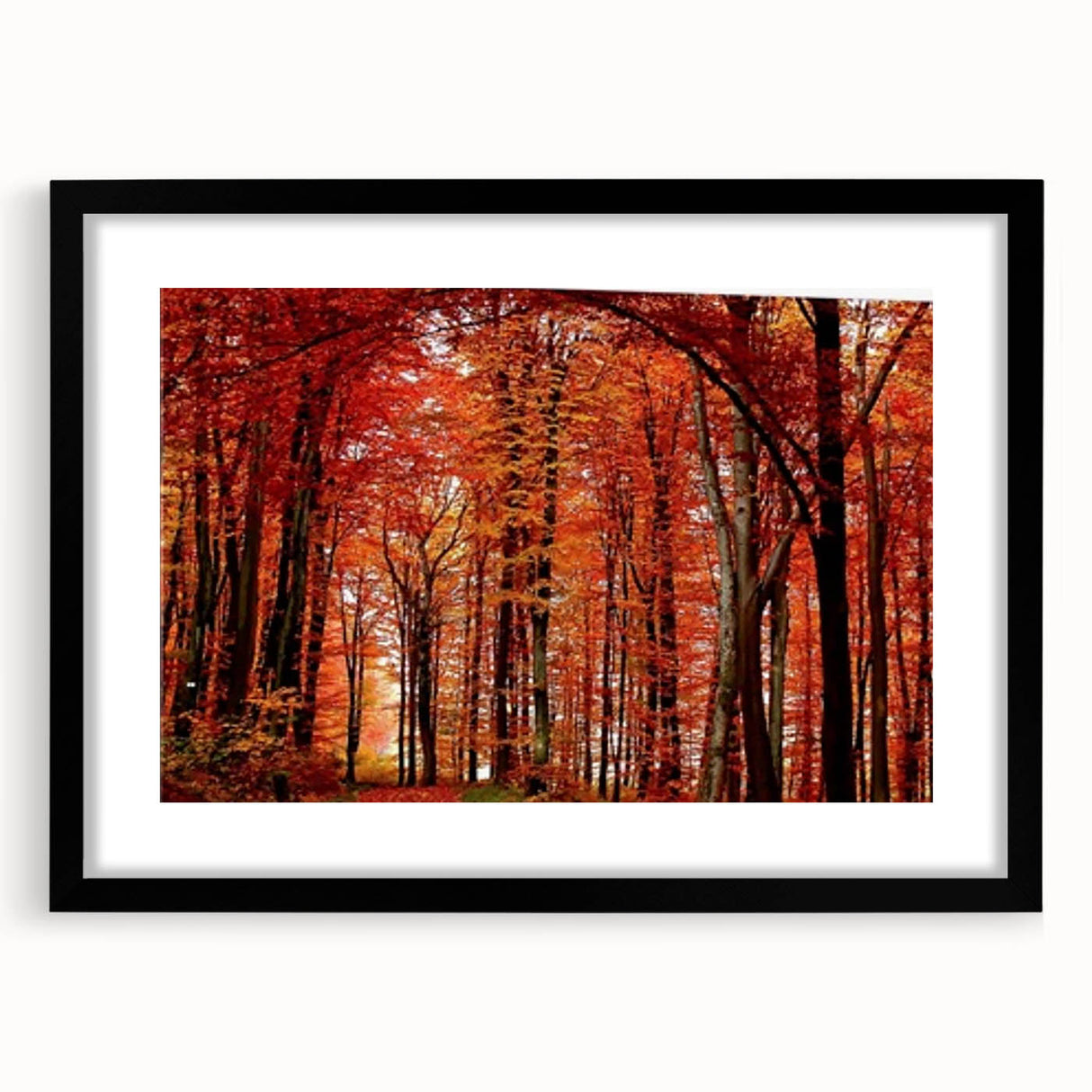 Framed botanical wall art featuring a collection of intricate flower and tree designs in vibrant colors, set against a sleek black frame, perfect for home decor.
