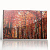 Framed wall art collection showcasing botanical tree designs in vibrant colors, set against a white background, ideal for home decor or nature-inspired themes.