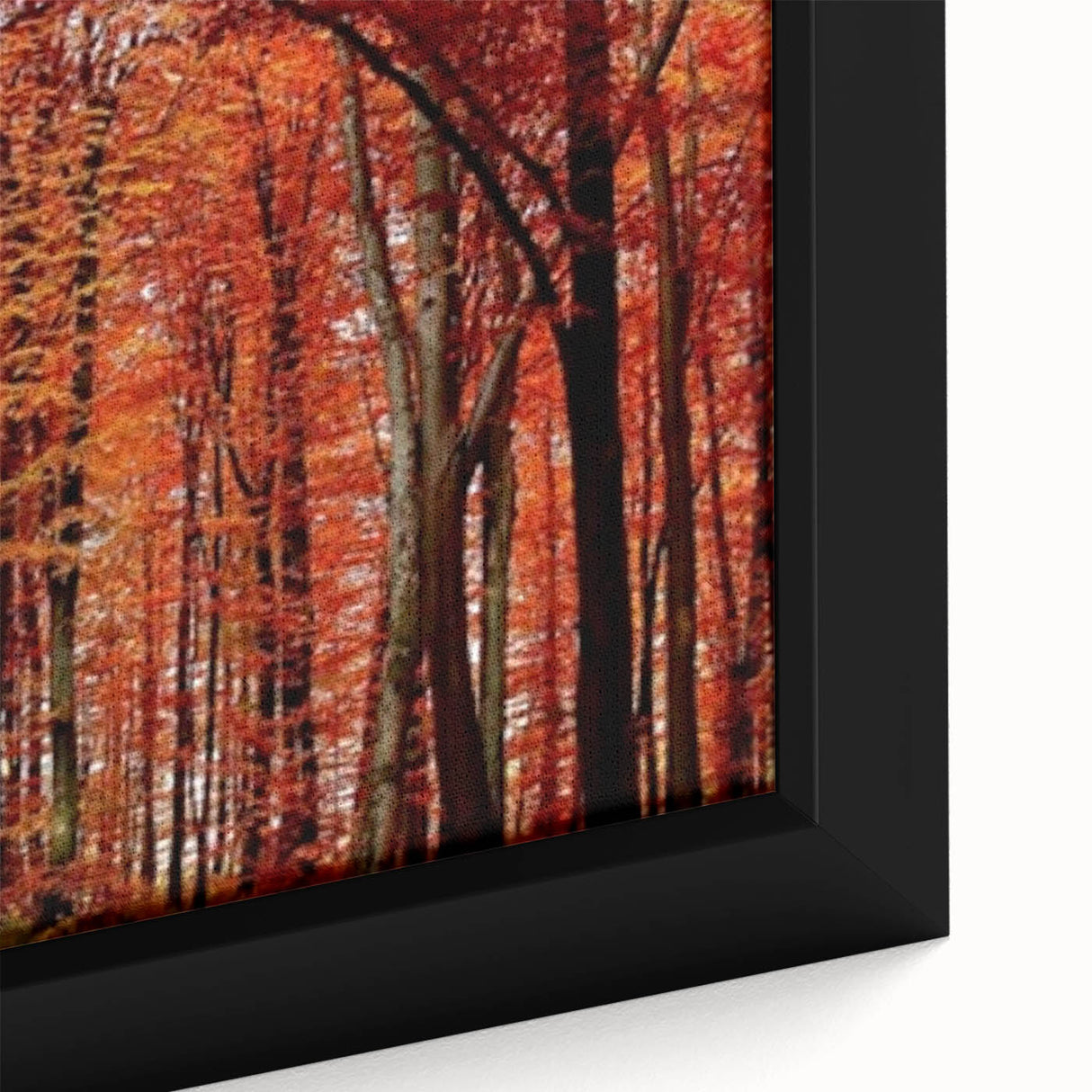 Close-up of a framed botanical wall art collection featuring vibrant flowers and trees, showcasing intricate details and rich colors, perfect for home decor.