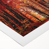 Botanical wall art collection showcasing vibrant flowers and trees on rolled canvas, perfect for home decor or nature-inspired spaces, delivered in protective packaging.