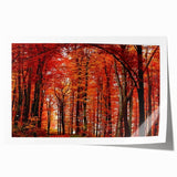 Botanical wall art design featuring vibrant flowers and trees in a rolled print format, perfect for home decor, showcasing intricate details in bright colors.