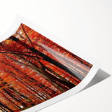 Botanical wall art print showcasing a vibrant collection of flowers and trees, rolled for easy transport and display, perfect for enhancing home decor aesthetics.