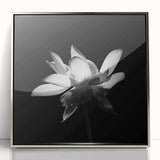 Framed wall art showcasing a vibrant tropical flower design, featuring rich colors and intricate botanical details, set in a silver acrylic frame for a modern touch.