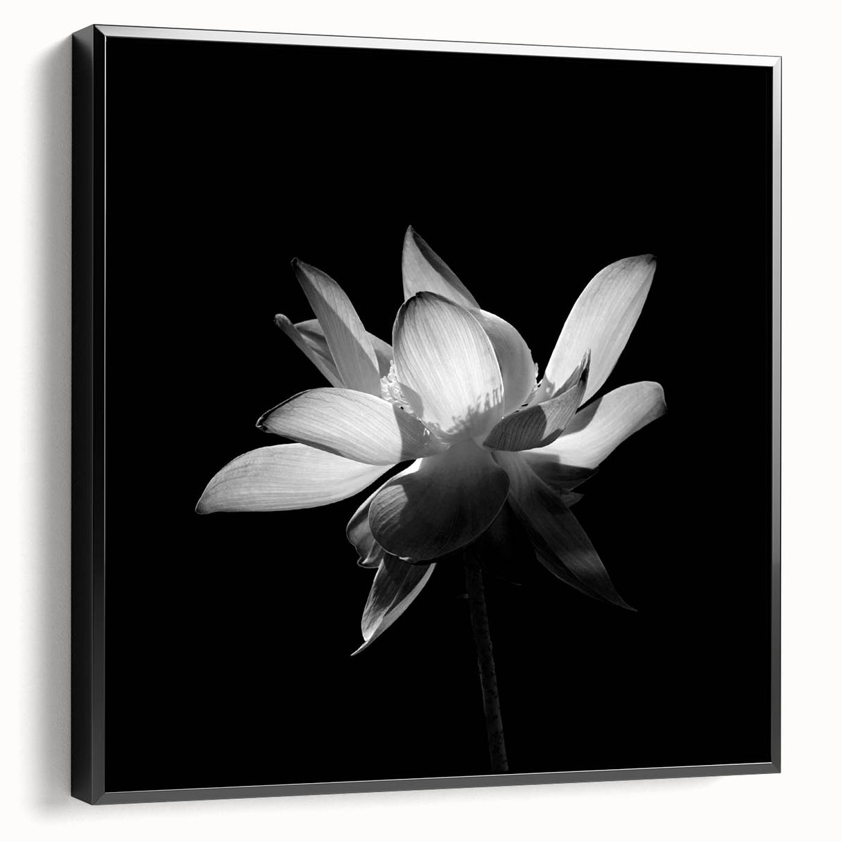 Framed botanical wall art showcasing vibrant tropical flowers on a textured canvas, featuring a sleek black frame, perfect for modern decor.