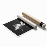Vibrant tropical flower design wall art print showcasing vivid colors and intricate botanical details, rolled for easy display and shipping, perfect for home decor.