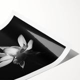 Tropical floral wall art print showcasing vibrant botanical designs with lush green leaves, perfect for home decor or interior styling. Ideal for nature lovers.