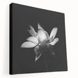 Stretched canvas wall art showcasing a vibrant tropical botanical flower design, featuring vivid colors and intricate details, perfect for enhancing home decor.