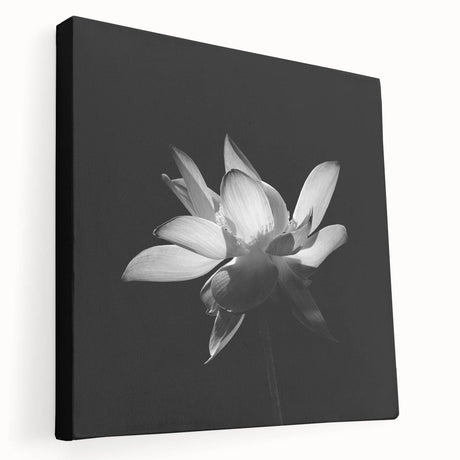 Stretched canvas wall art showcasing a vibrant tropical botanical flower design, featuring vivid colors and intricate details, perfect for enhancing home decor.