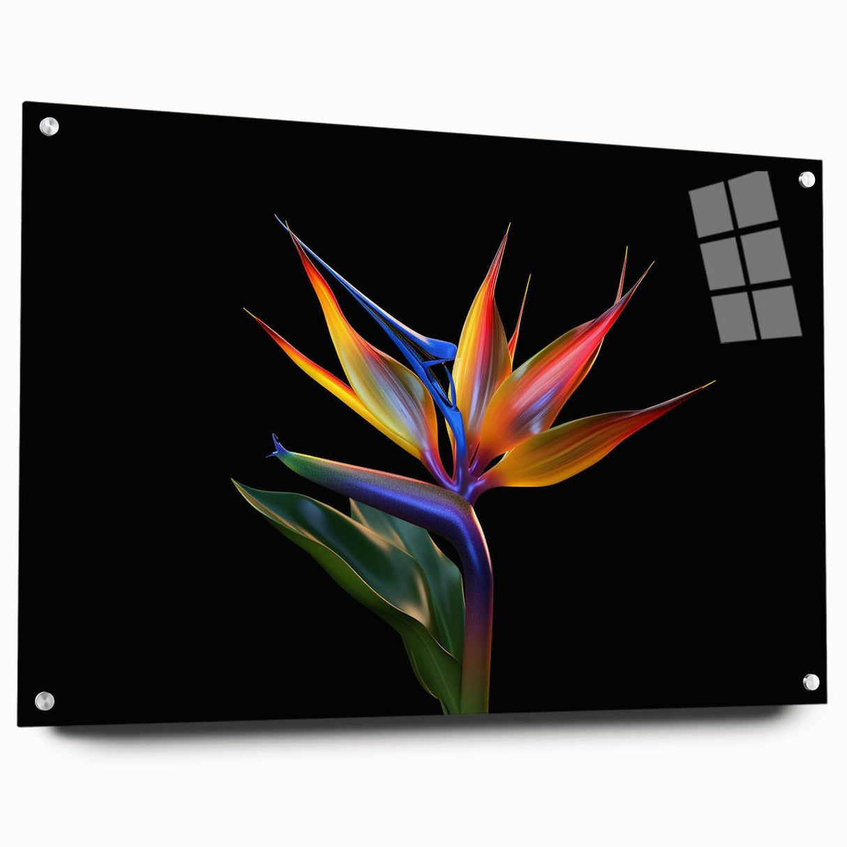 Tropical botanical wall art design showcasing vibrant flowers in a side view, presented in acrylic glass with visible pins, ideal for modern decor.