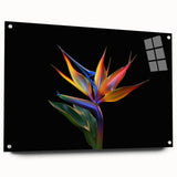 Tropical botanical wall art design showcasing vibrant flowers in a side view, presented in acrylic glass with visible pins, ideal for modern decor.