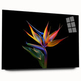 Vibrant tropical flower design wall art displayed in acrylic glass, showcasing vivid colors and intricate botanical details, perfect for modern home decor.
