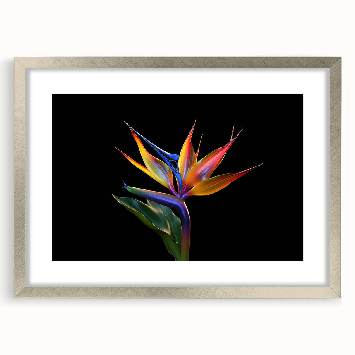 Tropical botanical wall art featuring vibrant flowers in a silver frame with a mat, perfect for adding a touch of nature to modern decor. Ideal for home or office.