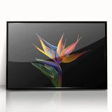 Framed wall art showcasing a vibrant tropical flower design with botanical elements, set in a sleek black frame, perfect for enhancing modern decor.