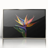 Framed wall art featuring a vibrant tropical flower design, showcasing intricate botanical details in a silver-acrylic frame, ideal for home decor.