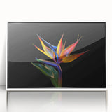 Framed acrylic wall art showcasing a vibrant tropical flower design in a sleek white frame, perfect for adding a touch of exotic elegance to any home decor.