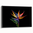 Framed wall art featuring a vibrant tropical botanical flower design in rich colors, showcased from a black side view, perfect for home decor enhancement.