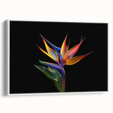 Framed canvas wall art showcasing a vibrant tropical flower design with rich colors and intricate details, displayed against a white background for a modern aesthetic. Ideal for home decor enthusiasts looking to add a touch of botanical beauty to their space.