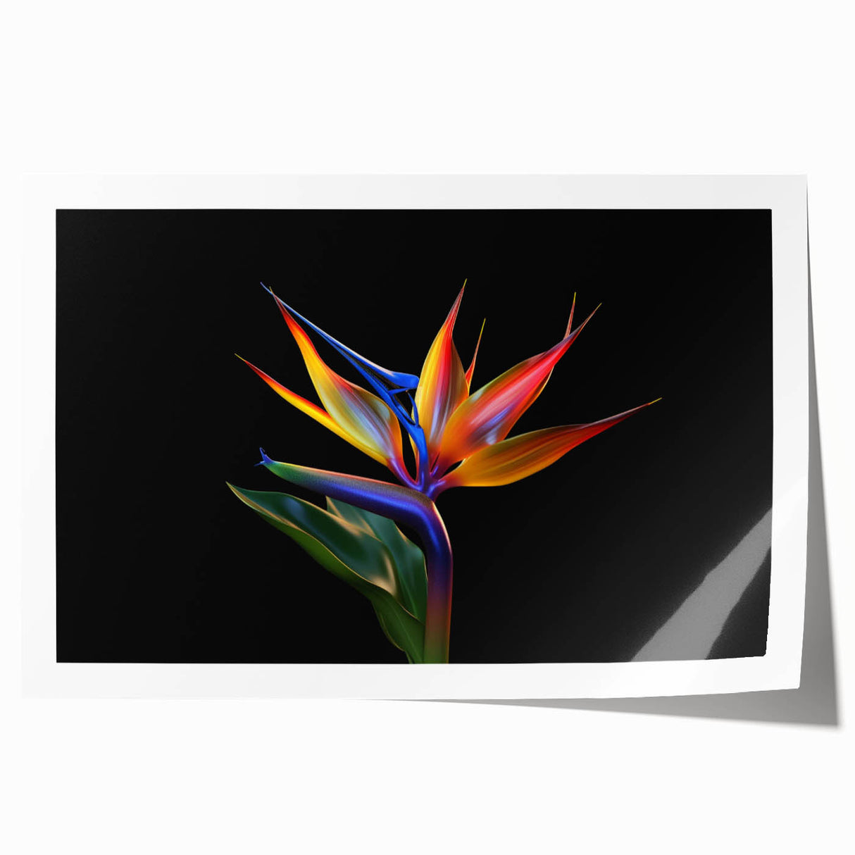 Vibrant tropical floral design wall art print featuring exotic flowers in rich colors, ideal for home decor. Rolled and packaged securely for easy display.