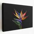 Tropical botanical flower design on stretched canvas wall art, showcasing vibrant colors and intricate details, perfect for home decor.