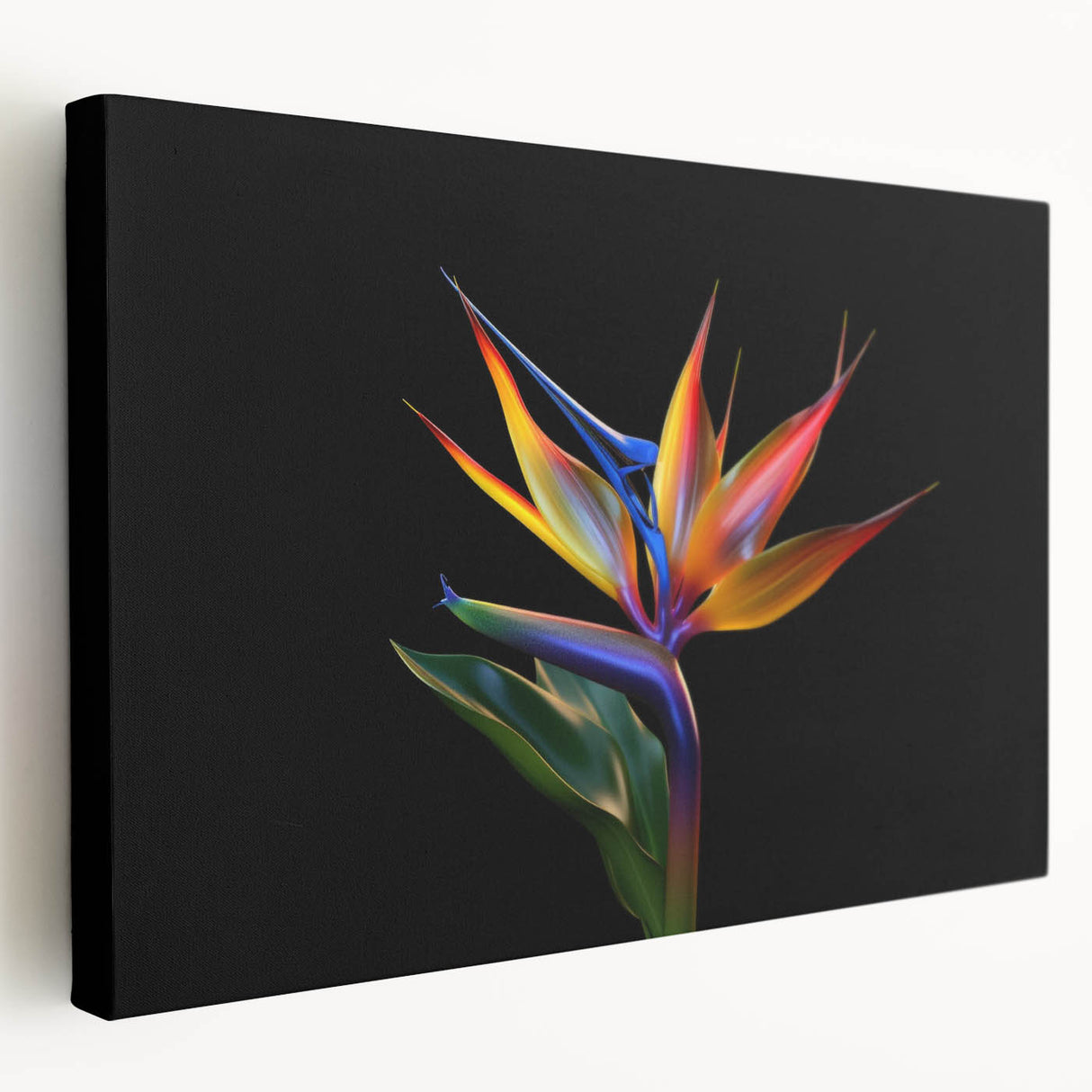 Tropical botanical flower design on stretched canvas wall art, showcasing vibrant colors and intricate details, perfect for home decor.