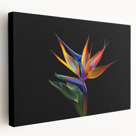 Tropical botanical flower design on stretched canvas wall art, showcasing vibrant colors and intricate details, perfect for home decor.