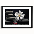 Botanical tropical flower wall art collection featuring vibrant colors in a sleek black frame, perfect for modern home decor and nature enthusiasts.