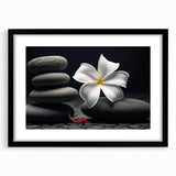 Botanical tropical flower wall art collection featuring vibrant colors in a sleek black frame, perfect for modern home decor and nature enthusiasts.