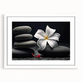 Tropical botanical wall art featuring vibrant floral designs in a white frame with a matte finish, perfect for home decor and enhancing interior aesthetics.