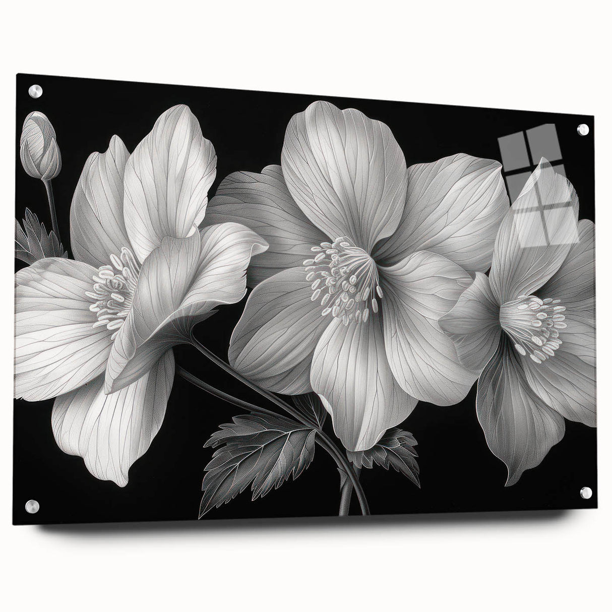 Tropical floral wall art design featuring vibrant, detailed botanical illustrations on acrylic glass, elegantly displayed with pins for contemporary decor.