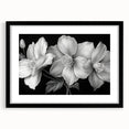 Botanical tropical flower wall art design framed in black, showcasing vibrant colors and intricate details, perfect for enhancing modern home decor.