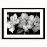 Botanical tropical flower wall art design framed in black, showcasing vibrant colors and intricate details, perfect for enhancing modern home decor.