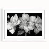 Tropical floral wall art design featuring vibrant botanical illustrations in a white frame with a mat, perfect for home decor to enhance living spaces.
