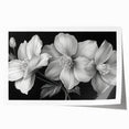 Vibrant tropical floral wall art featuring a botanical design with lush green leaves and colorful flowers, perfect for adding a touch of nature to home decor.