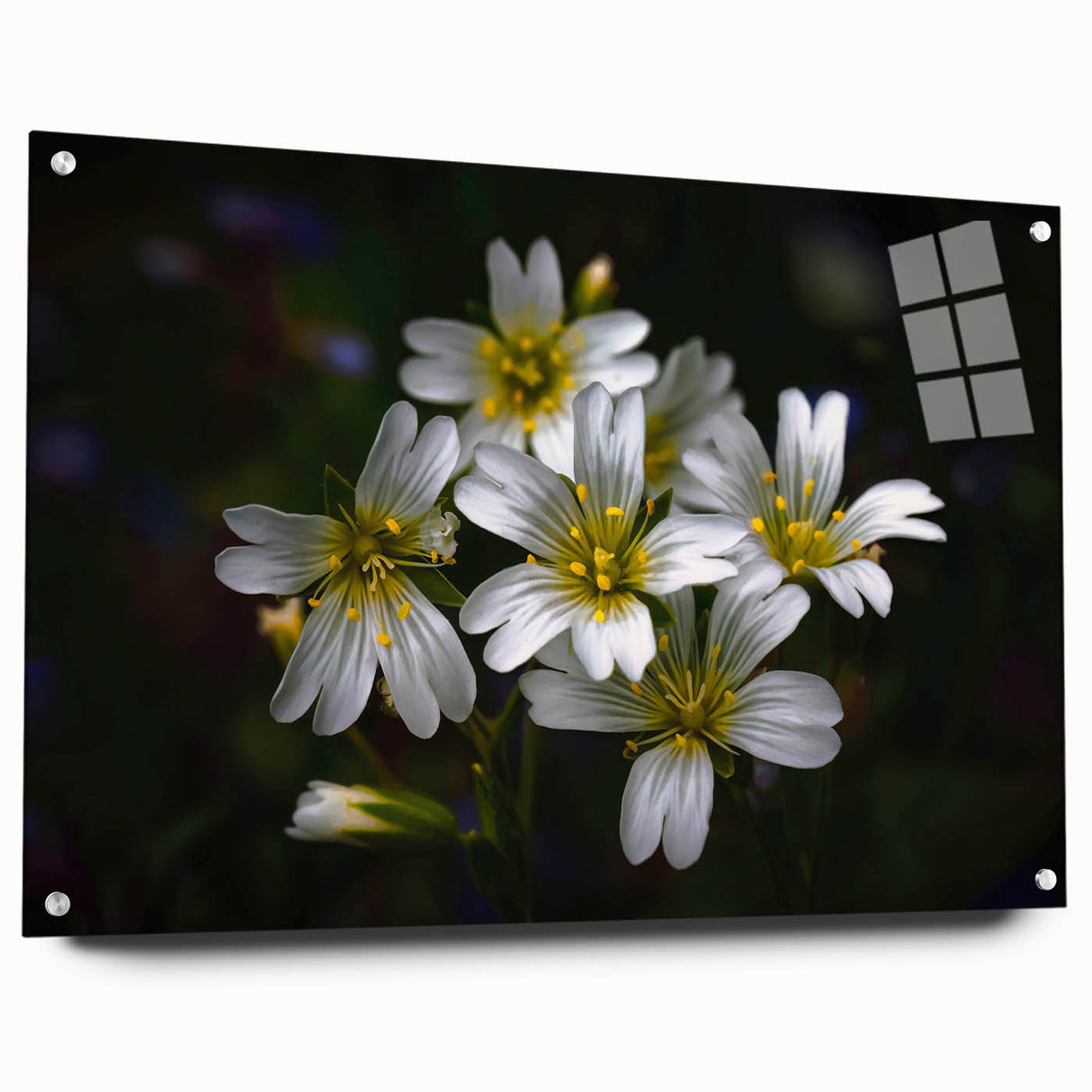 Acrylic wall art piece showcasing a vibrant botanical tropical flower design, displayed in a side view with decorative pins, perfect for enhancing modern decor.