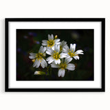 Botanical tropical flower wall art design featuring vibrant colors and intricate details, framed with a black matte finish, ideal for home decor enhancement.