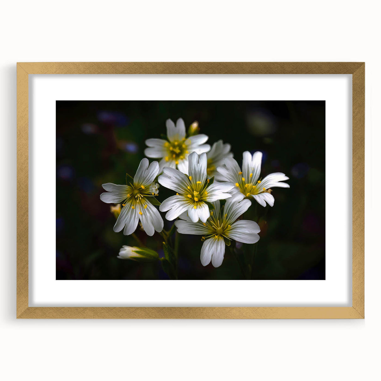 Framed botanical wall art featuring vibrant tropical flowers in a gold frame with a mat, ideal for enhancing home decor and adding a touch of nature.
