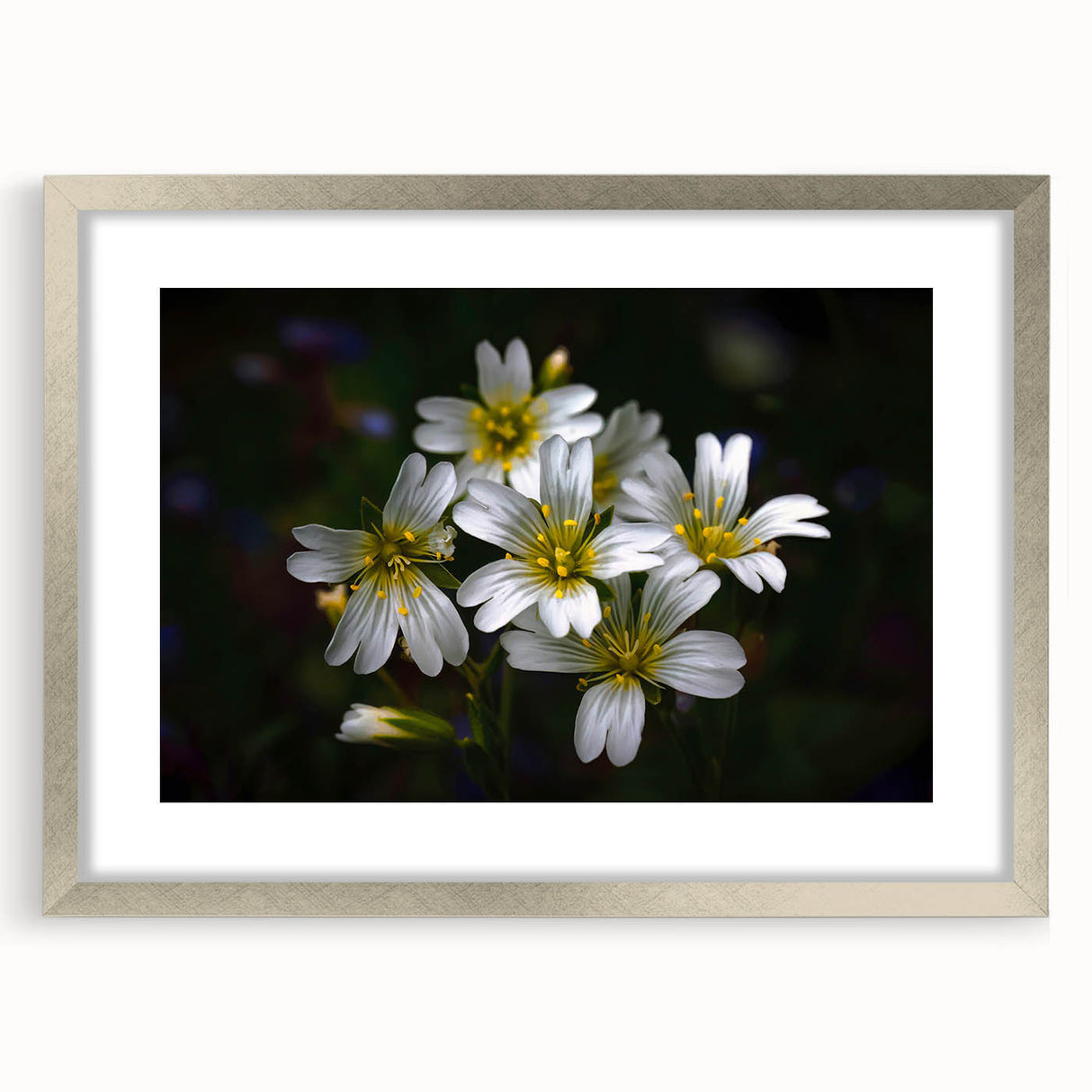 Tropical botanical wall art featuring vibrant flowers in a silver frame with a mat, perfect for modern home decor. Ideal for adding a touch of nature to any living space.