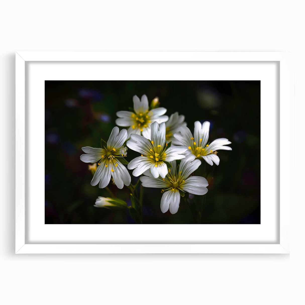 Tropical botanical wall art featuring vibrant, colorful flowers in a white frame with a mat, perfect for enhancing home decor with a fresh, lively aesthetic.