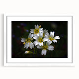 Tropical botanical wall art featuring vibrant, colorful flowers in a white frame with a mat, perfect for enhancing home decor with a fresh, lively aesthetic.