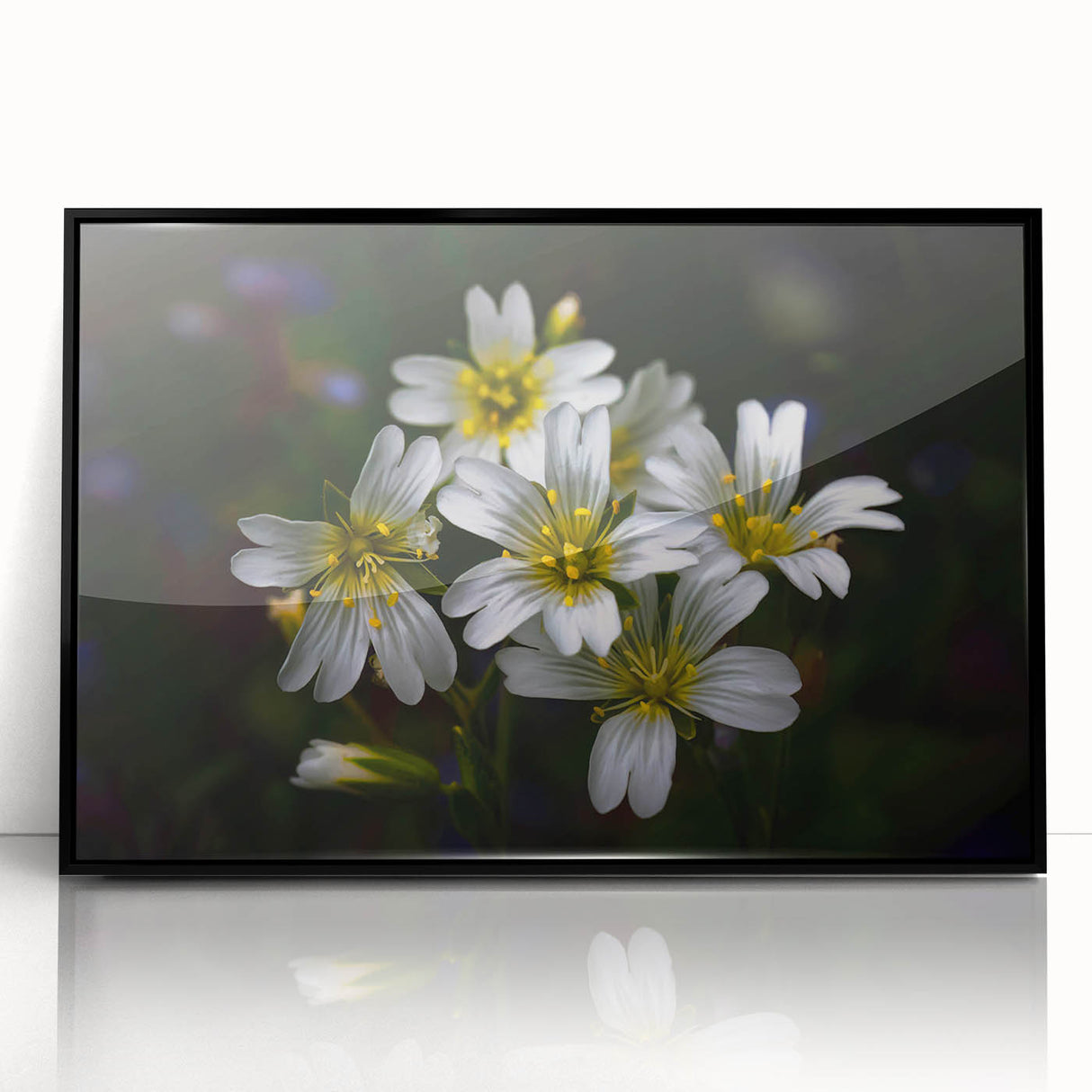 Framed wall art showcasing a vibrant tropical botanical flower design with a sleek black frame, perfect for adding a touch of nature to modern decor.