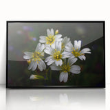 Framed wall art showcasing a vibrant tropical botanical flower design with a sleek black frame, perfect for adding a touch of nature to modern decor.