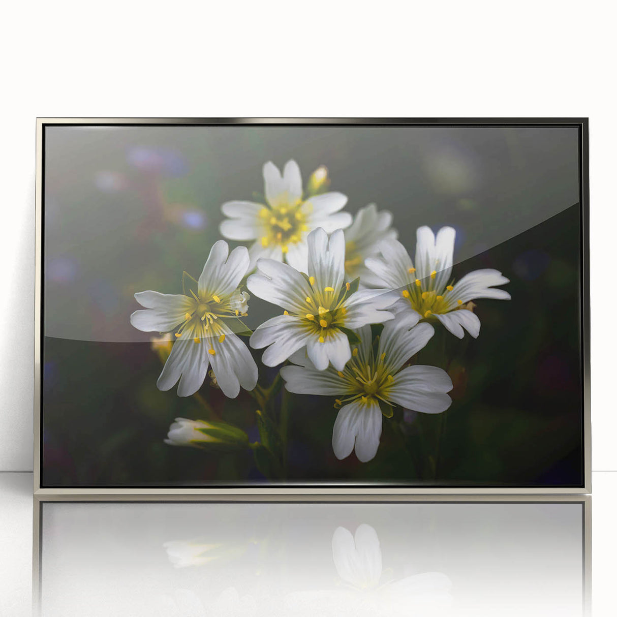 Framed wall art featuring a vibrant botanical tropical flower design in silver-acrylic frame, showcasing colorful flowers against a stylish backdrop, perfect for home decor.