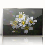 Framed wall art featuring a vibrant botanical tropical flower design in silver-acrylic frame, showcasing colorful flowers against a stylish backdrop, perfect for home decor.