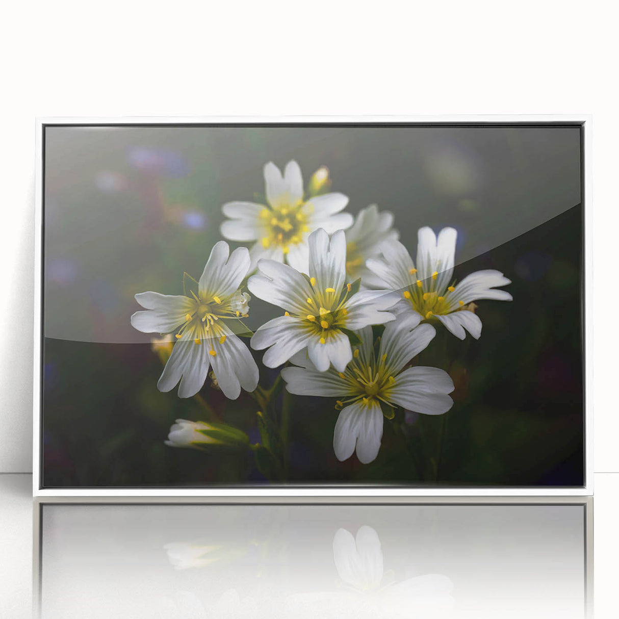 Framed acrylic wall art showcasing a vibrant collection of tropical botanical flowers in a white frame, perfect for enhancing modern decor.