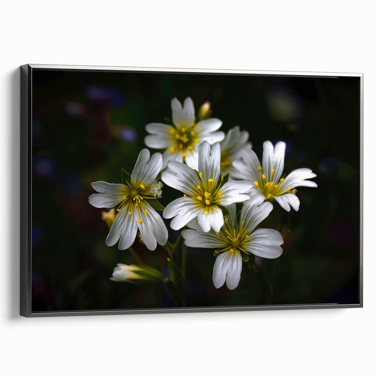 Framed canvas artwork showcasing a vibrant tropical flower design with intricate botanical details, featuring a sleek black frame and displayed in a modern setting.