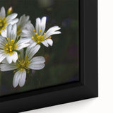 Vibrant close-up of a framed canvas showcasing a botanical tropical flower design with vivid colors and intricate details, perfect for enhancing home decor.