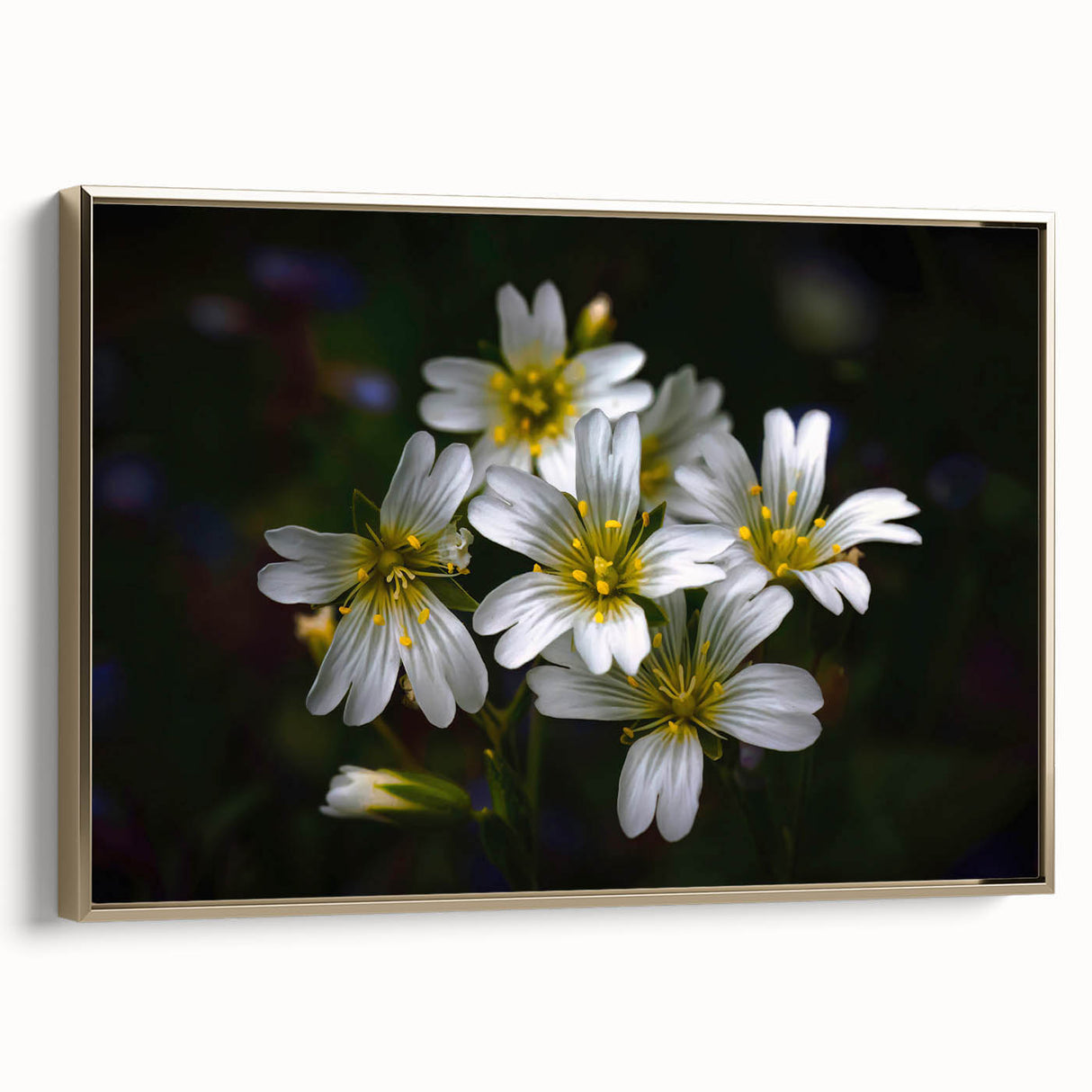 Framed canvas wall art showcasing a vibrant tropical flower design with gold accents, adding a touch of elegance to home decor. Perfect for botanical enthusiasts.