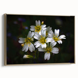 Framed canvas wall art showcasing a vibrant tropical flower design with gold accents, adding a touch of elegance to home decor. Perfect for botanical enthusiasts.