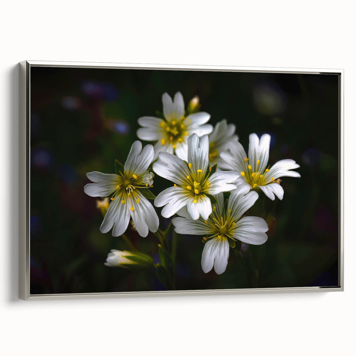 Framed wall art featuring a vibrant botanical tropical flower design with silver accents, showcasing intricate details and vivid colors, perfect for home decor.