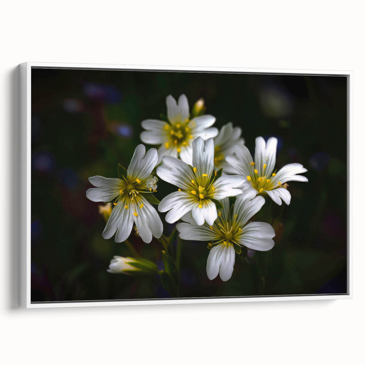 Framed canvas wall art showcasing a vibrant botanical tropical flower design in a white frame, perfect for home decor, bringing a touch of nature indoors.